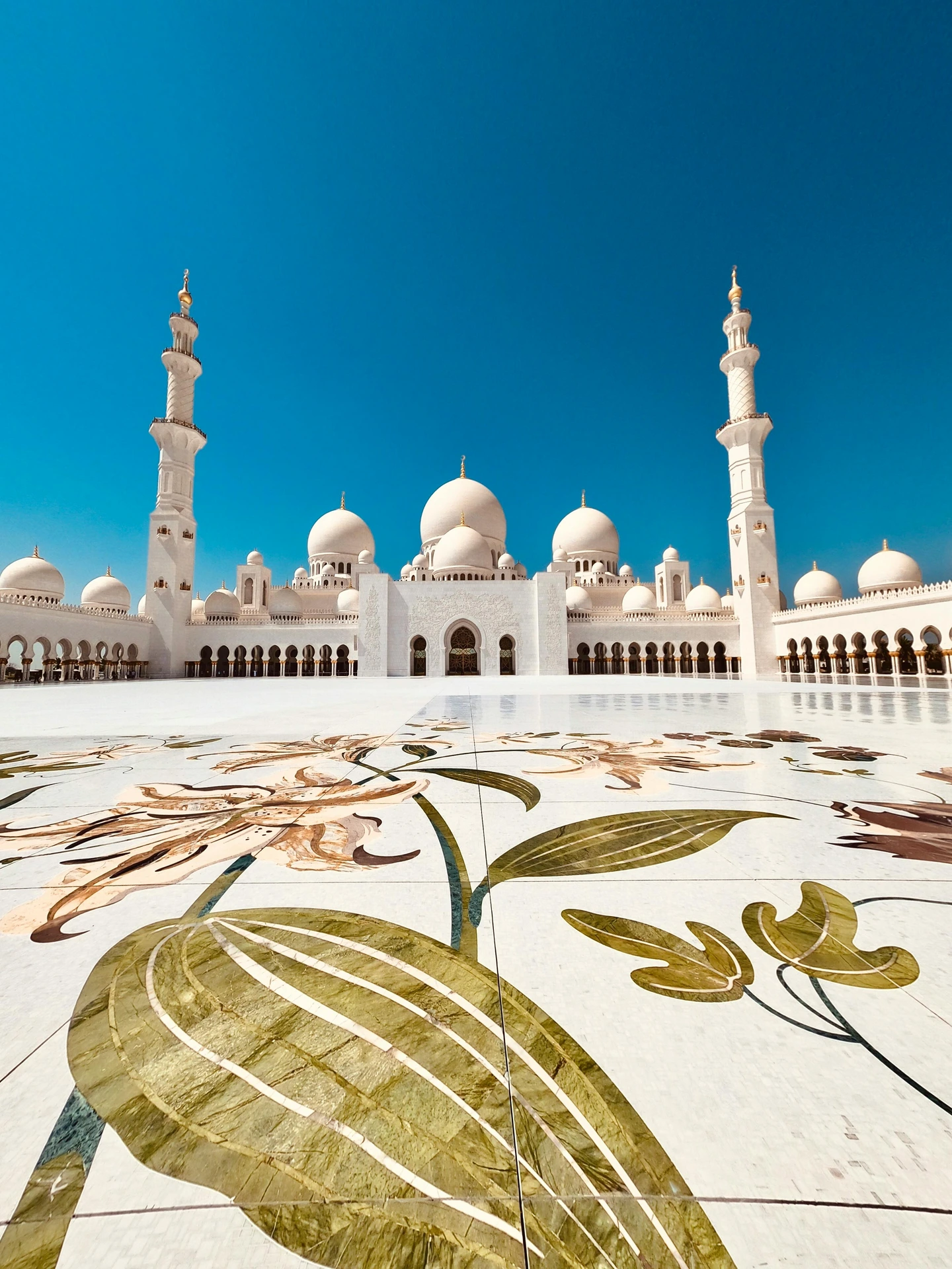 View photographers in Abu Dhabi